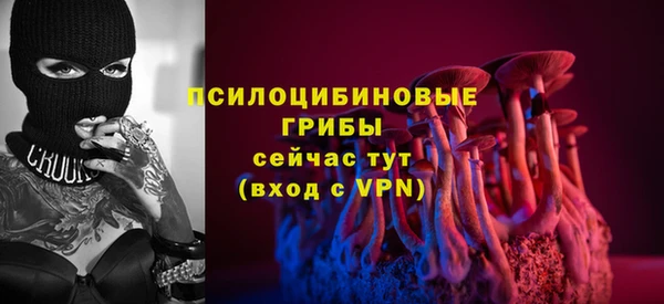 меф Арсеньев