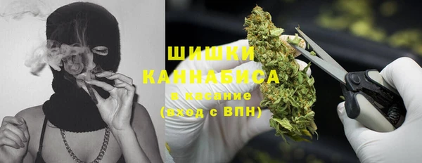 мяу мяу мука Аркадак