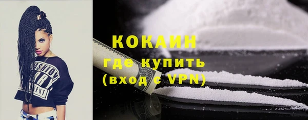 мяу мяу мука Аркадак