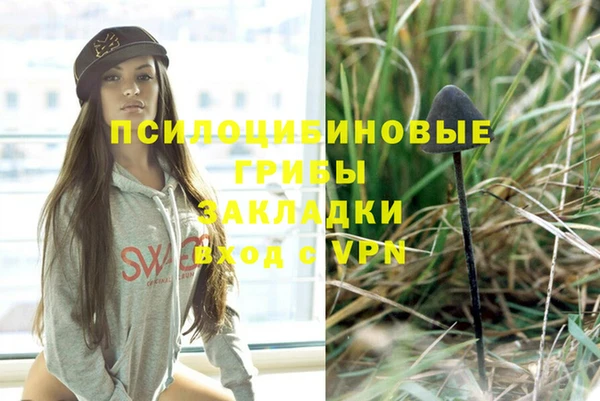мяу мяу мука Аркадак